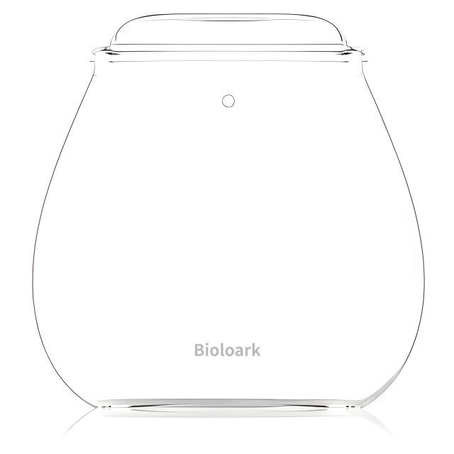 Bubble Cup FOUR