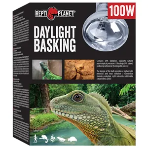 Žárovka REPTI PLANET Daylight Basking Spot 100W