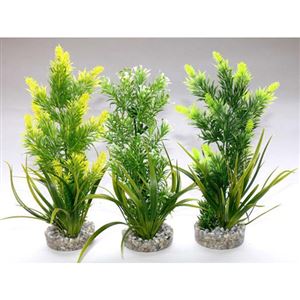 Rostlina Aquaplant medium 22 cm