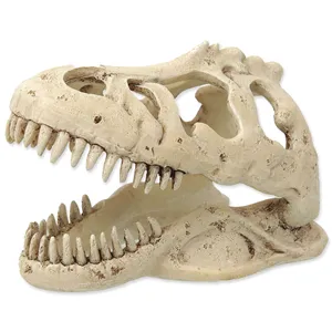 Dekorace T-rex lebka