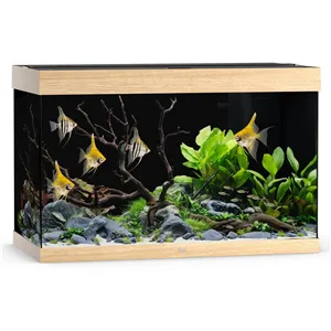 Akvárium Juwel Rio 290 LED dub Akvárium Juwel Rio 290 LED dub
