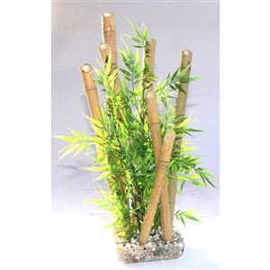 Rostlina Bamboo XL plants 38 cm
