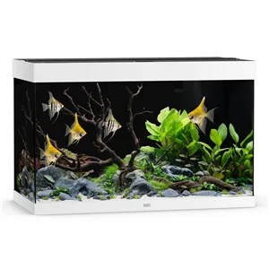 Akvárium Juwel Rio 290 LED bílé Akvárium Juwel Rio 290 LED bílé