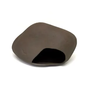 Cichlid stone M