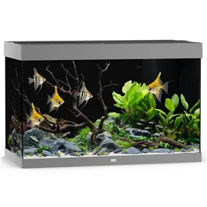 Akvárium Juwel Rio 290 LED šedé Akvárium Juwel Rio 290 LED šedé