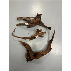 Kořen říční M 25-40cm