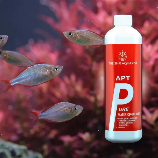 2Hr APTp Pure 500 ml