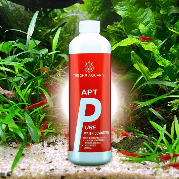 2Hr APTp Pure 500 ml