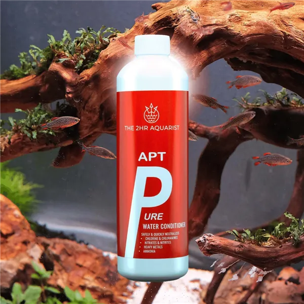 2Hr APTp Pure 500 ml