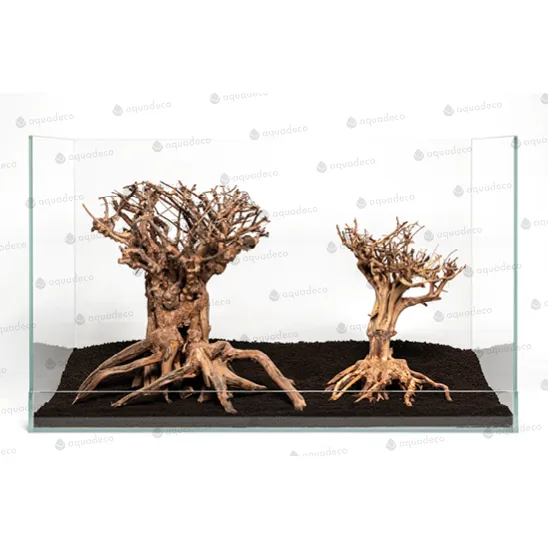 Mammut bonsai L