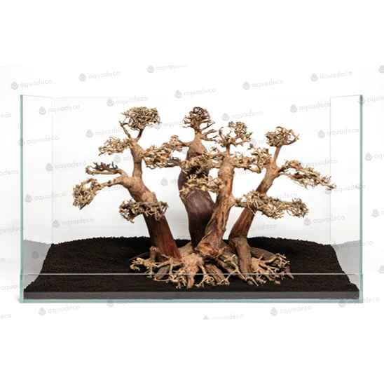 Forest bonsai M