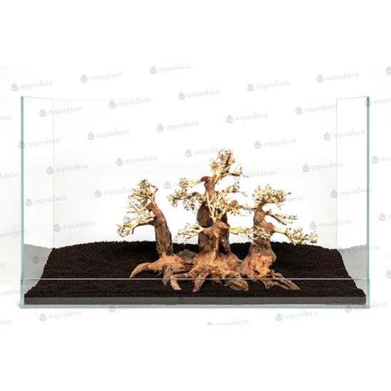 Forest bonsai M