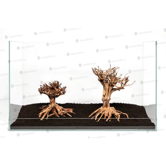 Mammut bonsai S