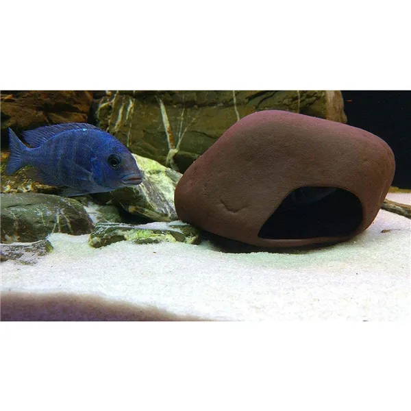 Cichlid stone M