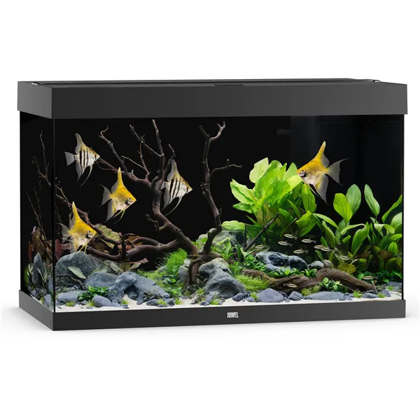 Akvárium Juwel Rio 290 LED černé