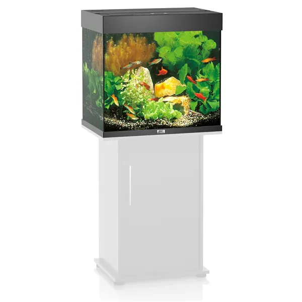 Akvárium Juwel Lido 120 černé