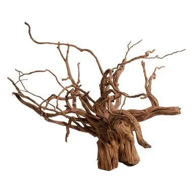 Red moor wood- kořen velký