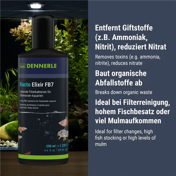 DENNERLE Bacto Elixier FB7 250ml - 1250 l