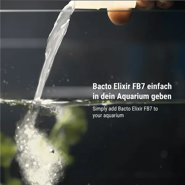 DENNERLE Bacto Elixier FB7 250ml - 1250 l
