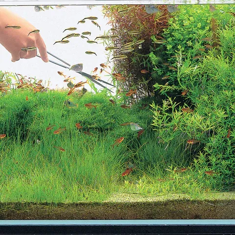 ADA nůžky Pro-Scissors Short rovné