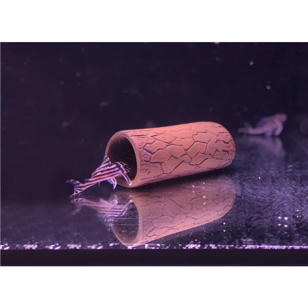 Pleco cave M