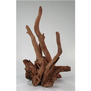 Kořen Corbo S 30-40 cm Kořen Corbo S 30-40 cm