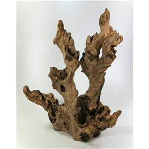 Kořen Barico XM 35-50 cm