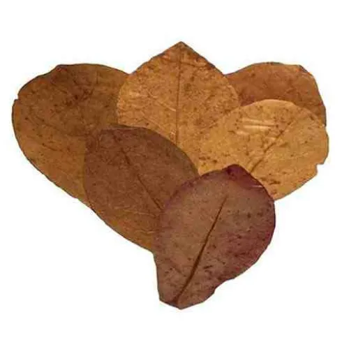 Listy Mandlovníku mořského M 15 ks