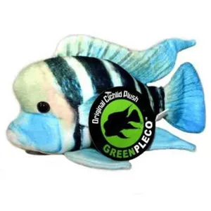 Plyšák Frontosa cichlid Plyšák Frontosa cichlid