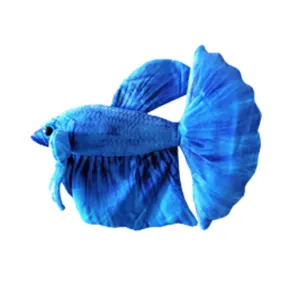 Plyšák Blue Betta fish Plyšák Blue Betta fish
