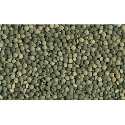 Tetra Pleco Tablets 58 tablet