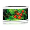 Akvárium Juwel Trigon 350 LED bílé