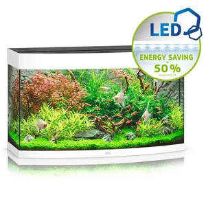 Akvárium Juwel Vision 180 LED bílé Akvárium Juwel Vision 180 LED bílé