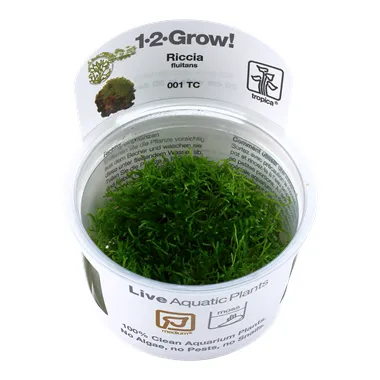 Tropica Riccia fluitans 1-2 Grow!