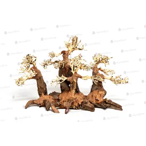 Forest bonsai M Forest bonsai M