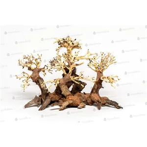 Forest bonsai S Forest bonsai S
