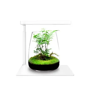 ONF Moss Micro Landscape Bundle ONF Moss Micro Landscape Bundle