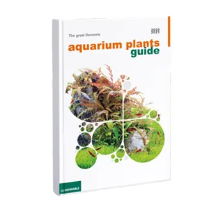 Tropica Leptodictyum 1-2 Grow! Tropica Leptodictyum 1-2 Grow!