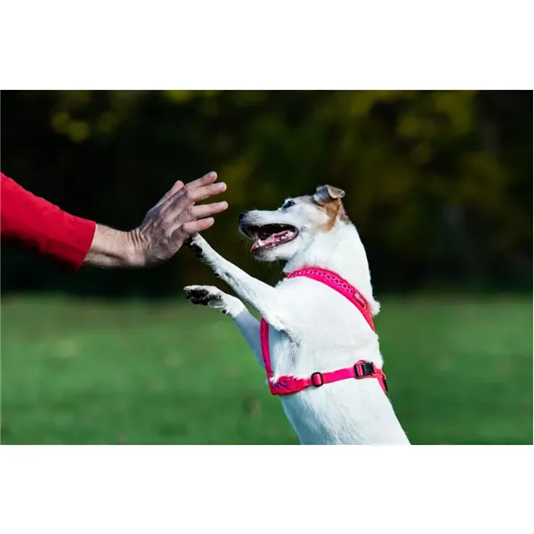 Tamer postroj Softy - červený, velikost 7