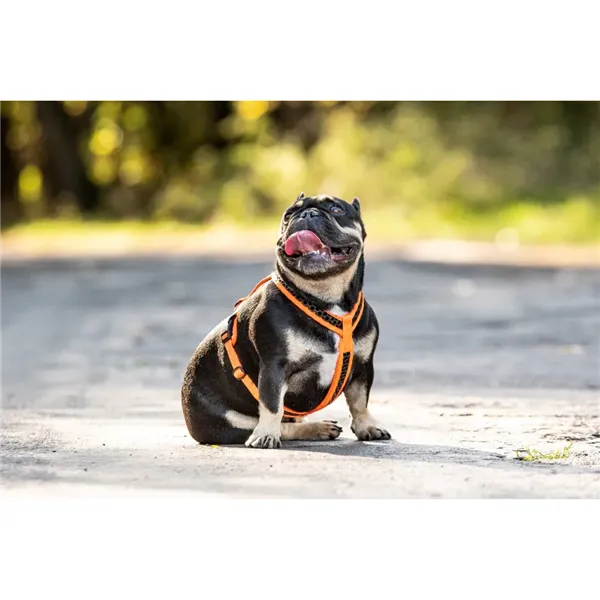 Tamer postroj Softy - červený, velikost 7