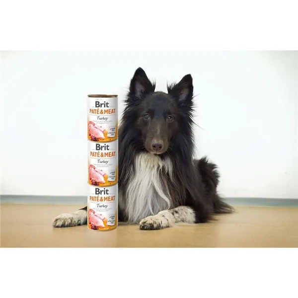 Brit Paté & Meat Dog Turkey 400 g