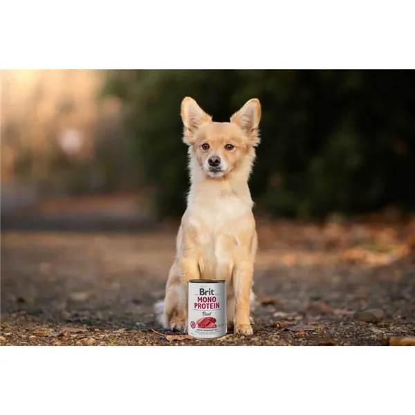Brit Mono Protein Beef 400 g 