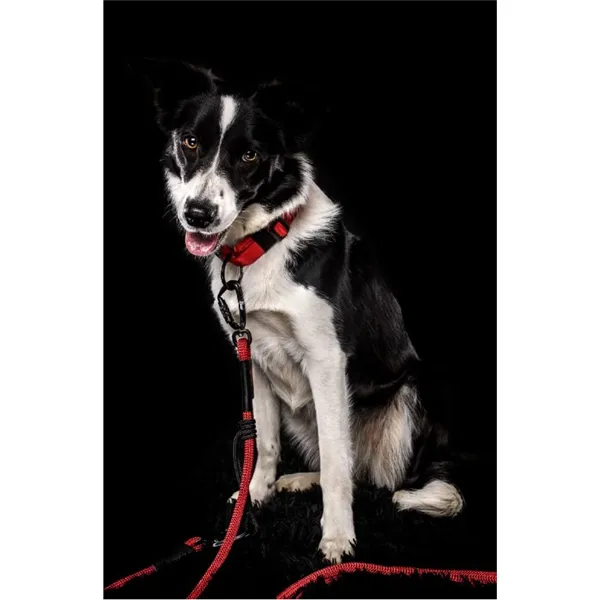 Tamer lanové vodítko Easy Long Twist - střední  pes, indigo, 3 m