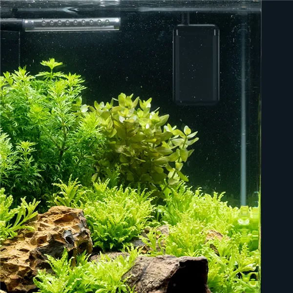 Dennerle Konstantní ohřívač, 50 W