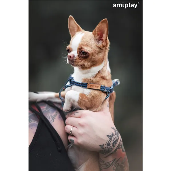 Amiplay Postroj Denim M 30-55x 1,5cm - modrá