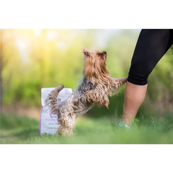 Brit Care Mini Grain Free Yorkshire 7 kg 
