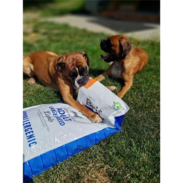 Brit Care Dog Hypoallergenic Adult Large Breed 3 kg 