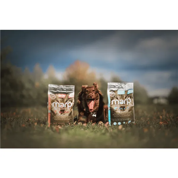 Marp Variety Blue River - Lososové 2kg