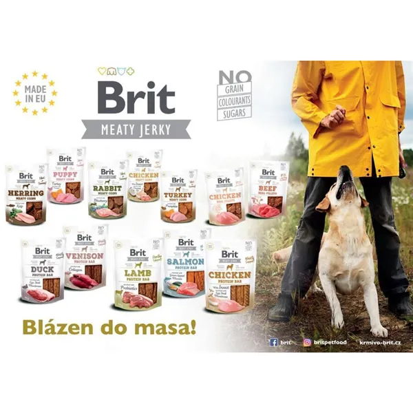Brit Jerky Chicken with Insect Meaty Coins 200 g