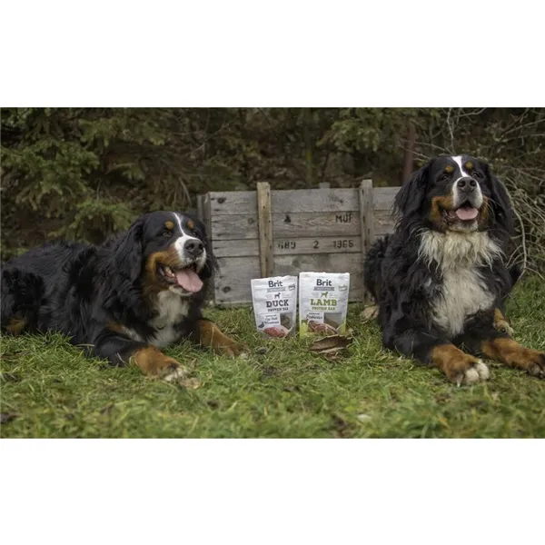 Brit Jerky Lamb Protein Bar 200 g 